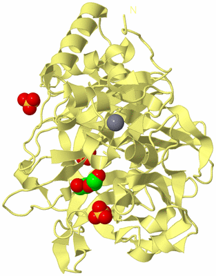 Image Biological Unit 4