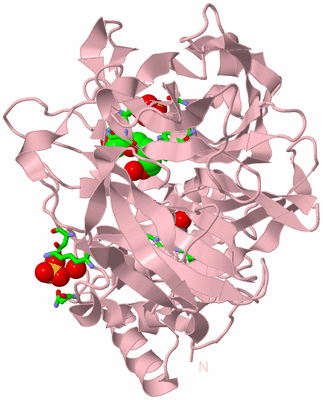 Image Biol. Unit 1 - sites