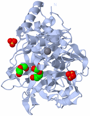 Image Biological Unit 2