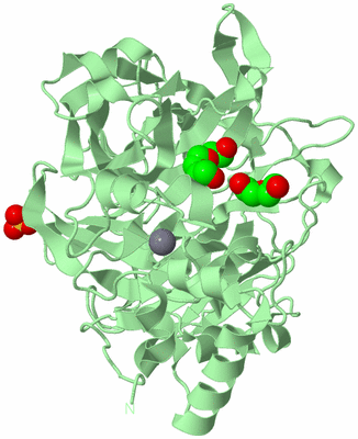 Image Biological Unit 3