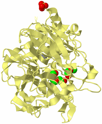 Image Biological Unit 4