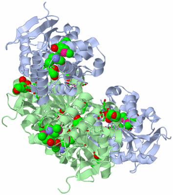 Image Biol. Unit 1 - sites