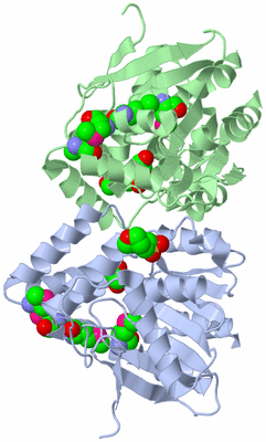 Image Biological Unit 2