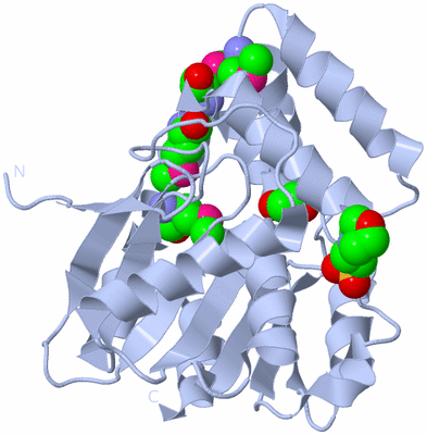 Image Biological Unit 4