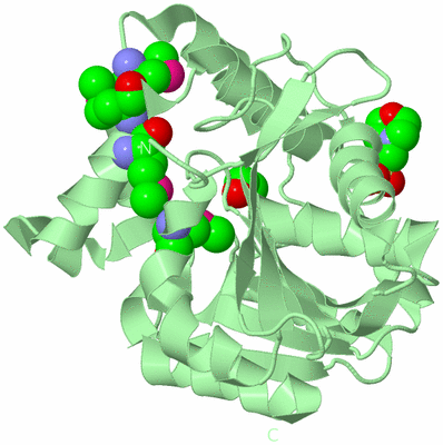 Image Biological Unit 5