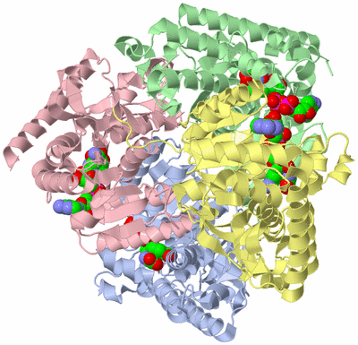 Image Asym./Biol. Unit