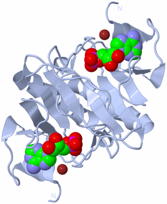 Image Biological Unit 1