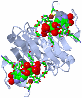 Image Biol. Unit 1 - sites