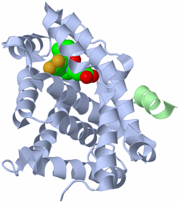 Image Biological Unit 1