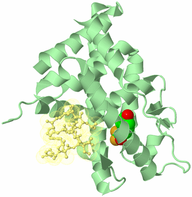 Image Biological Unit 2