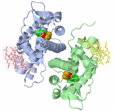 Image Biological Unit 3