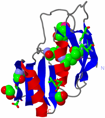 Image Asym. Unit - sites