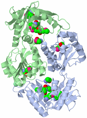 Image Biological Unit 2