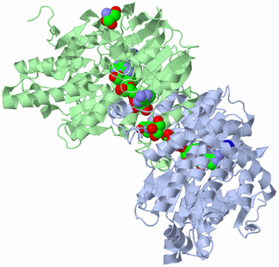 Image Biological Unit 2