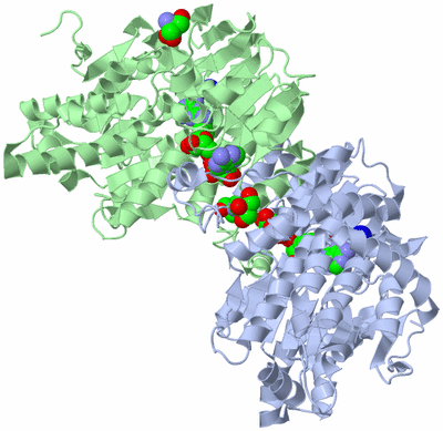 Image Biological Unit 2