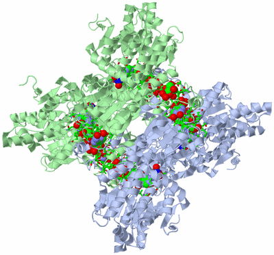 Image Biol. Unit 1 - sites