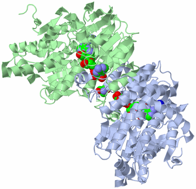 Image Biological Unit 2