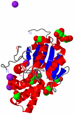 Image Asym./Biol. Unit