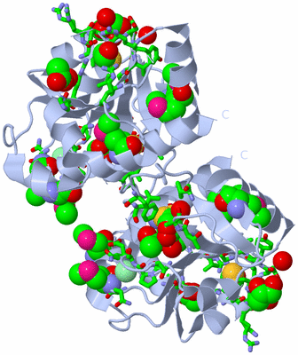 Image Biol. Unit 1 - sites