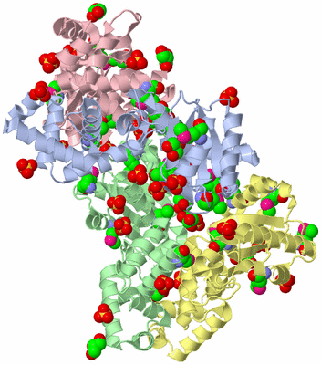 Image Biological Unit 1