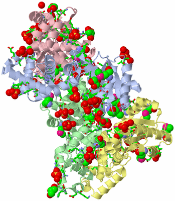 Image Biol. Unit 1 - sites