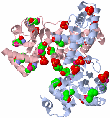 Image Biological Unit 2