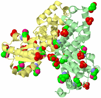 Image Biological Unit 3