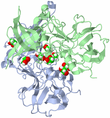 Image Biological Unit 1