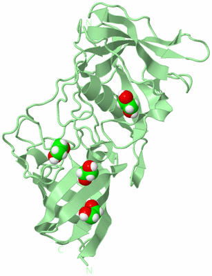 Image Biological Unit 3