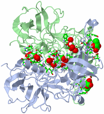 Image Biol. Unit 1 - sites