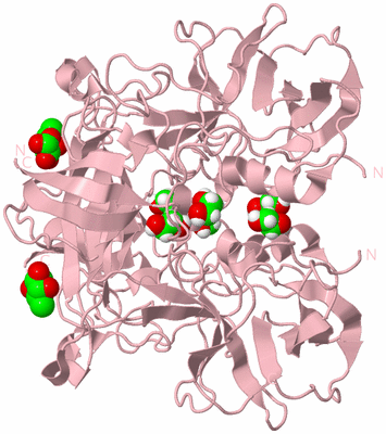 Image Biological Unit 2