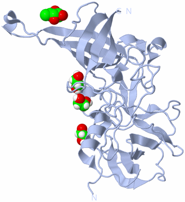 Image Biological Unit 3