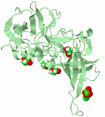 Image Biological Unit 4