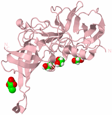 Image Biological Unit 5