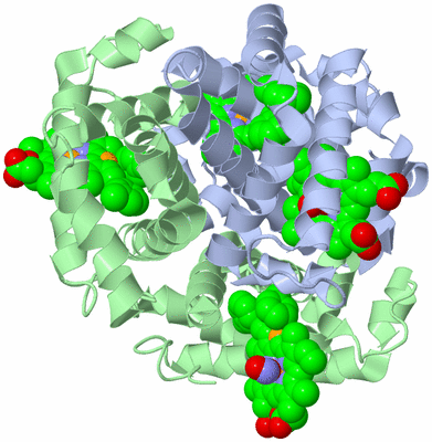 Image Biological Unit 1