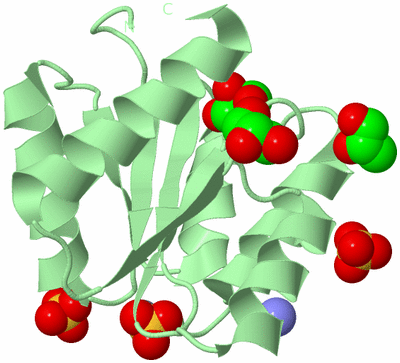 Image Biological Unit 2