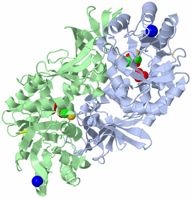 Image Asym./Biol. Unit