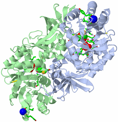 Image Asym./Biol. Unit - sites