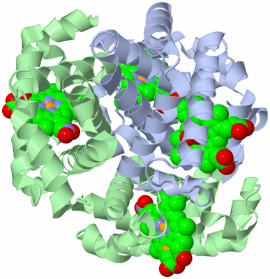 Image Biological Unit 1