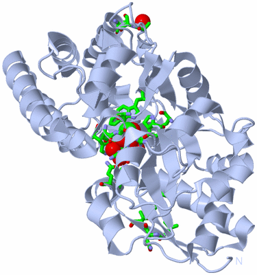 Image Biol. Unit 1 - sites