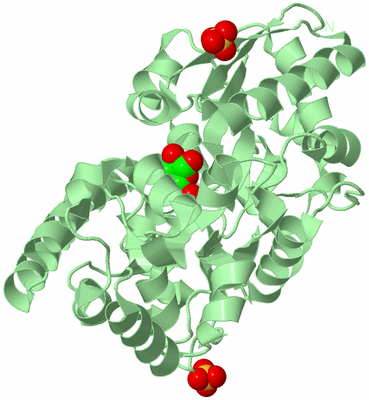 Image Biological Unit 2