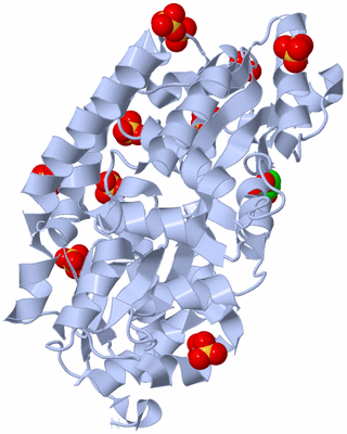 Image Biological Unit 1