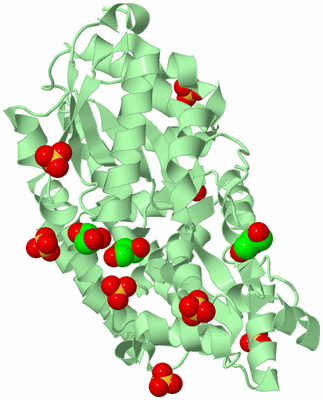 Image Biological Unit 2