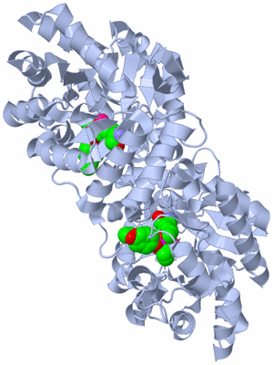 Image Biological Unit 1