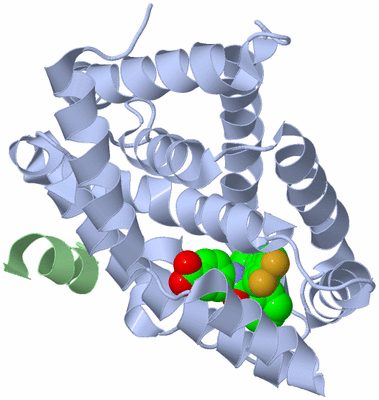 Image Biological Unit 1