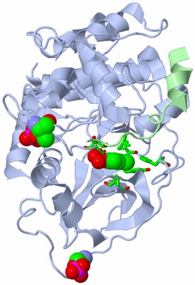 Image Asym./Biol. Unit - sites