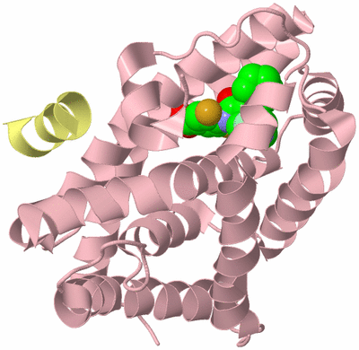 Image Biological Unit 2