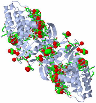 Image Biol. Unit 1 - sites