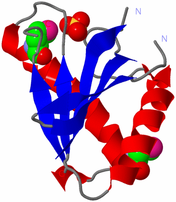 Image Asymmetric Unit