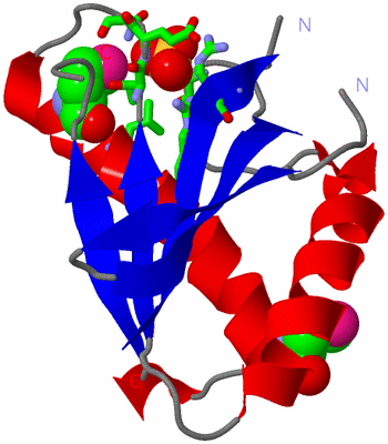 Image Asym. Unit - sites